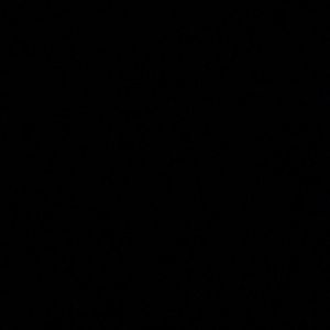 Meet your Posher, Maxin